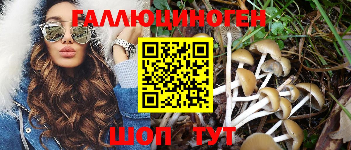 Мценск  Псилоцибиновые грибы Psilocybine cubensis  Вход с VPN 