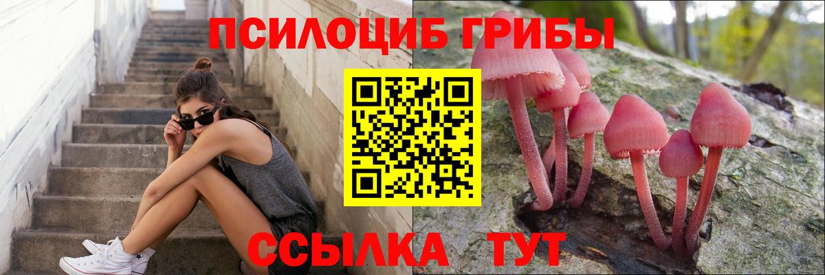 Псилоцибиновые грибы Psilocybine cubensis Мценск